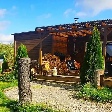 Uroczy I Wilcza Chatka,klimat Gorski Na Kaszubach,balia,sauna,ognisko Prázdninový dům