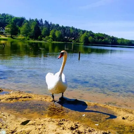 Uroczy I Wilcza Chatka,klimat Gorski Na Kaszubach,balia,sauna,ognisko Prázdninový dům *