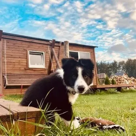 Uroczy I Wilcza Chatka,klimat Gorski Na Kaszubach,balia,sauna,ognisko Prázdninový dům Sikorzyno