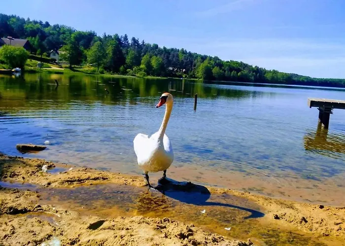 Wellness Chill Na Kaszubach,golubie ,saunowy Zakatek Z Balia Pod Gwiazdami بيت للعطل *